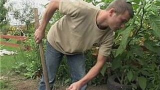 Gardener Sexual Interruption Outdoors porn video