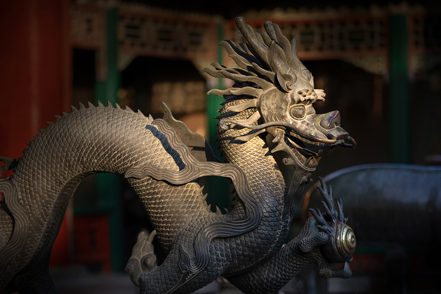 Dragon decorations: Guardians of Forbidden City